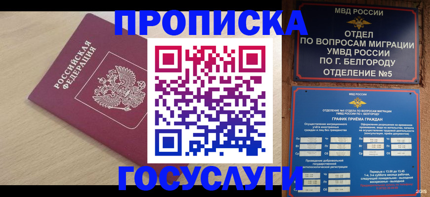 прописка законно в Марий Эл